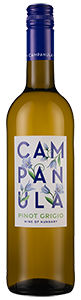 Campanula Pinot Grigio