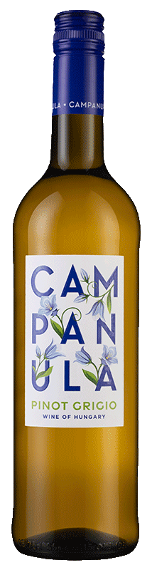 Campanula Pinot Grigio 2023