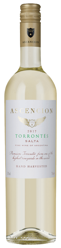 Ascencion Torrontés 2017