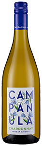 Campanula Chardonnay