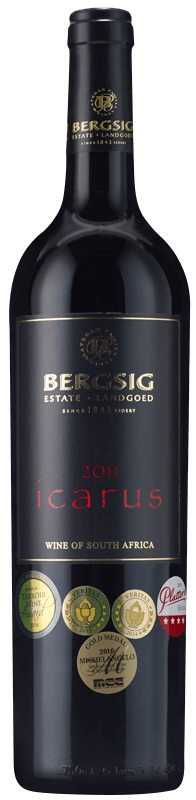 Bergsig Icarus 2011