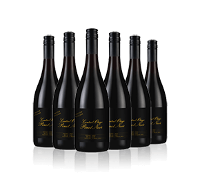 Limited Release Pinot Noir 2022