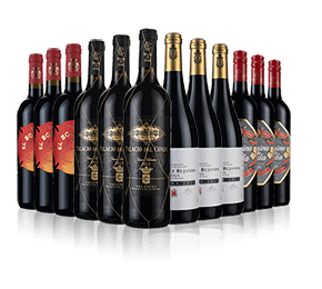 Spanish Essentials Wine Pack Online